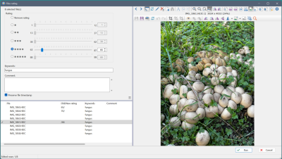 FileRating.png
