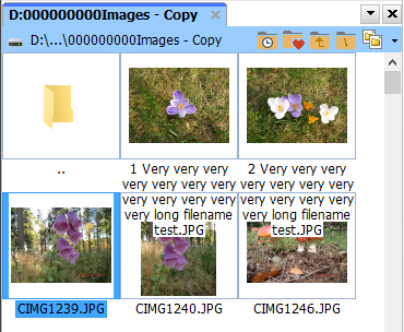 FC Screenshot_02062021_161249.png
